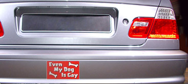 Gay Bumper Stickers